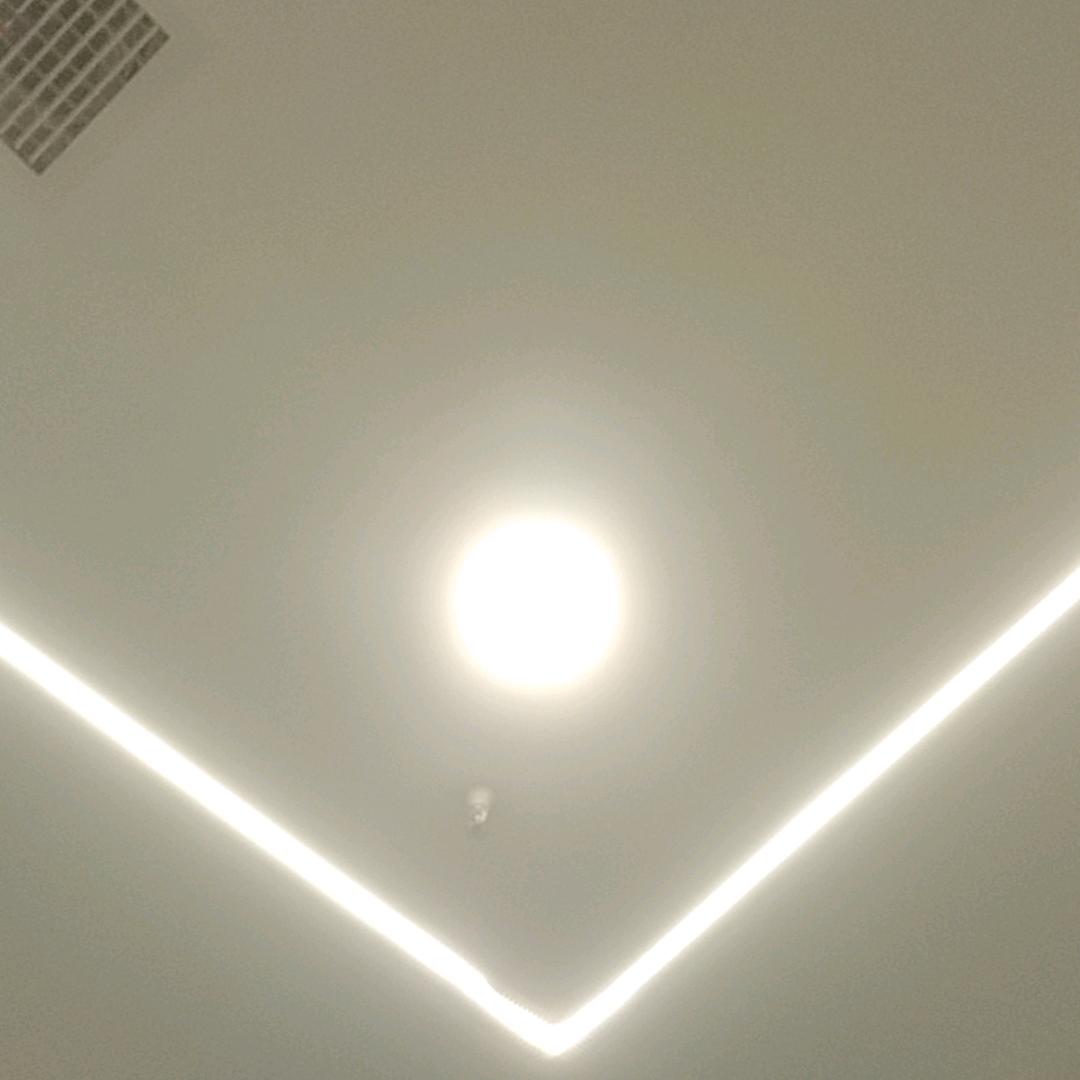 生椰桑果三重奏