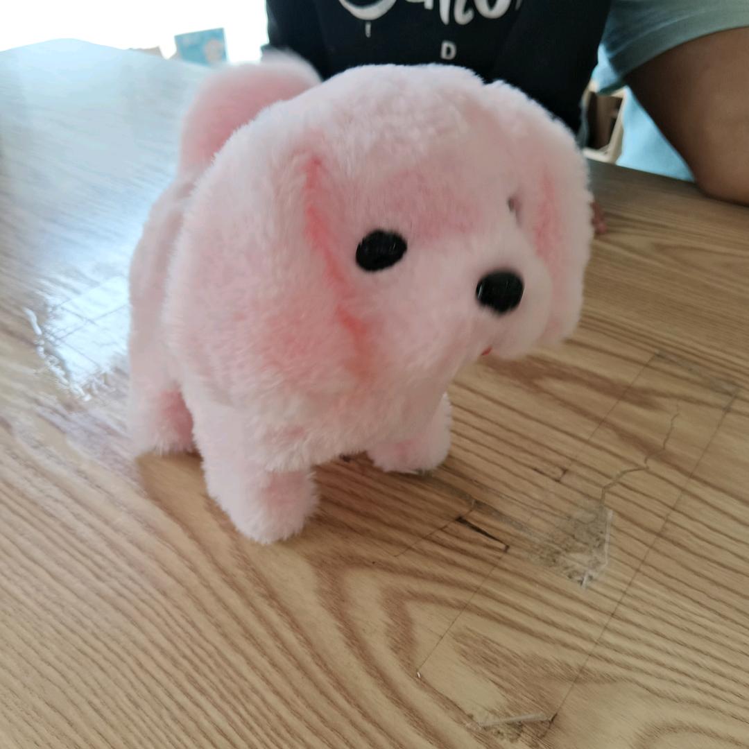 完美♥(｡￫v￩｡)♥