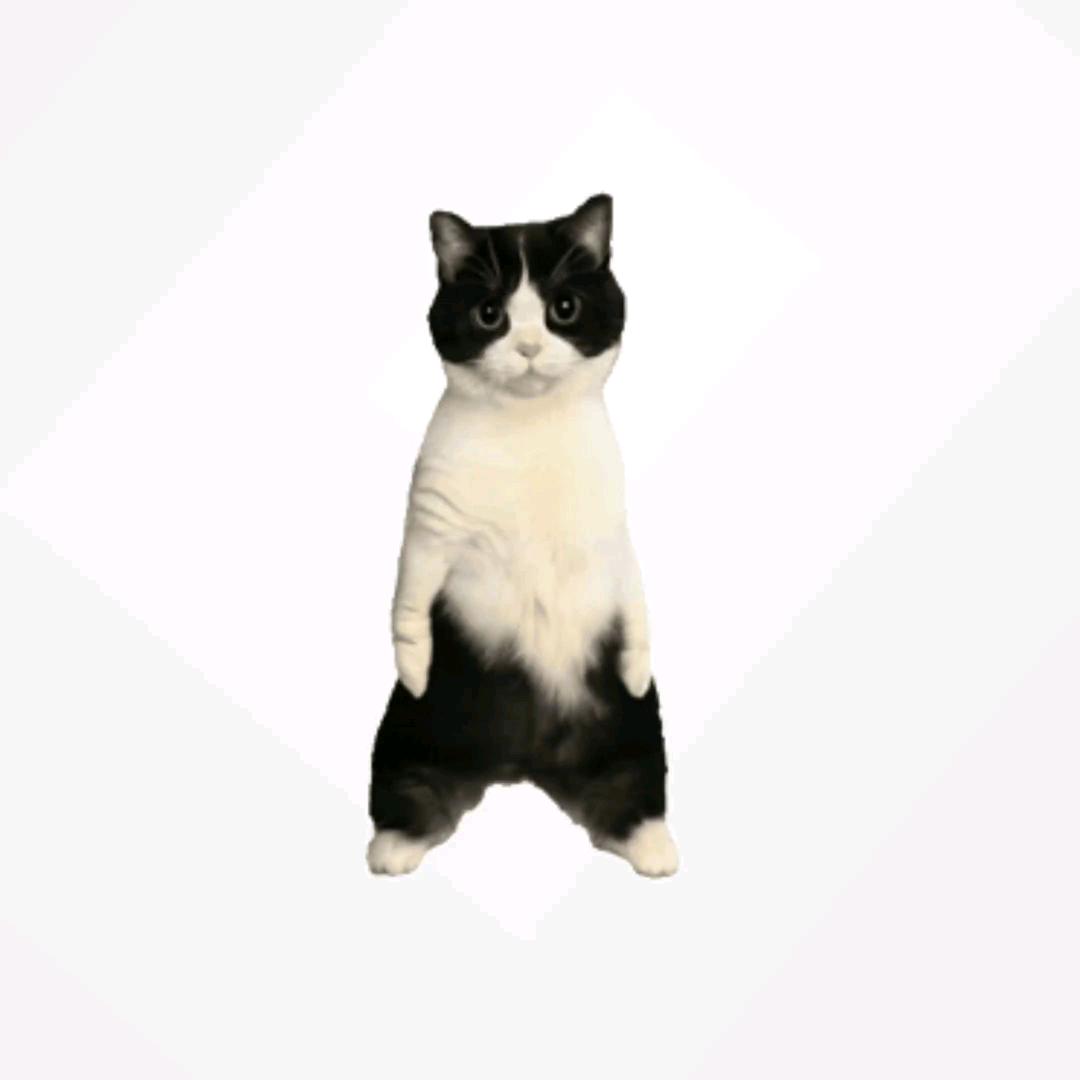 十月十六日晴☀️