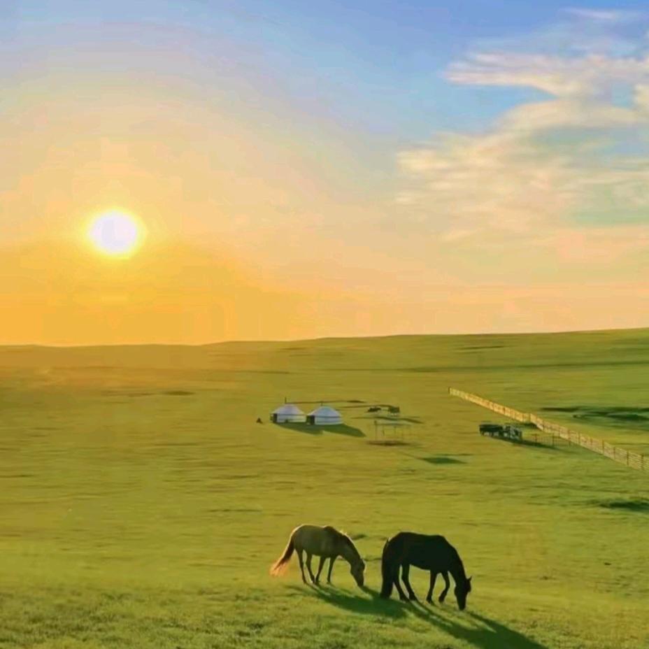 @༊沉默꧔ꦿ᭄꧔ꦿ