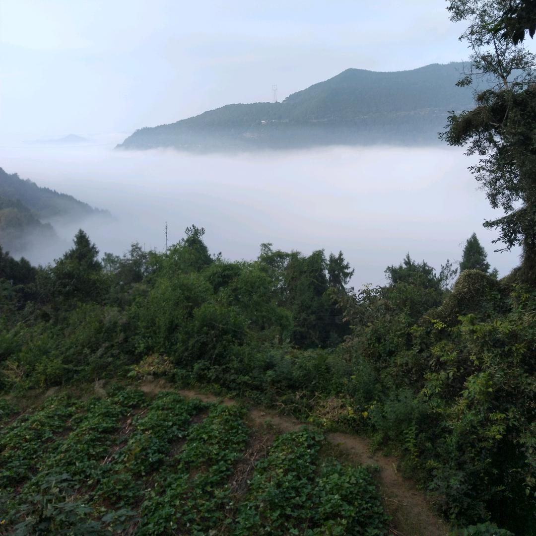 不要说那些莫用的