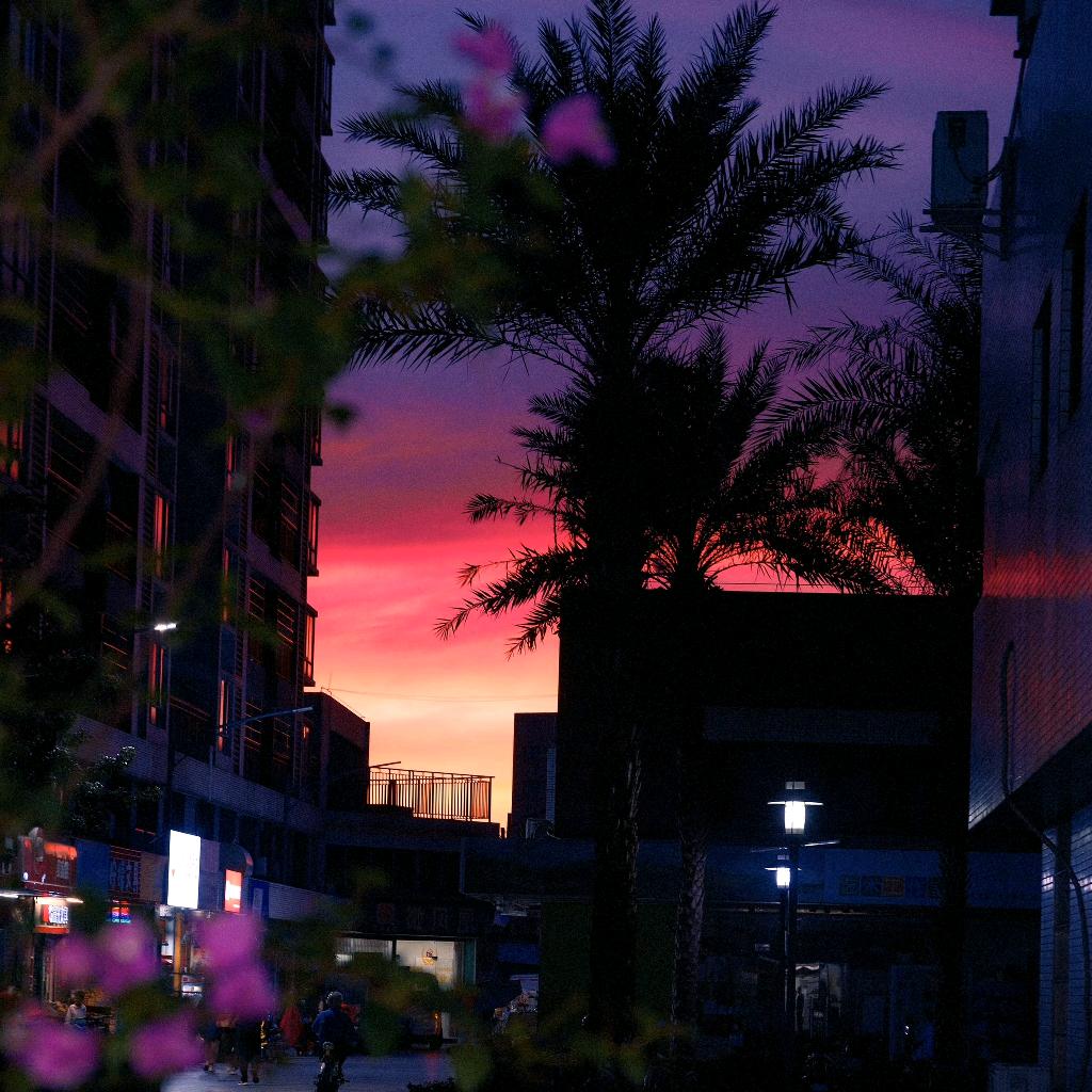 泠月夜凝