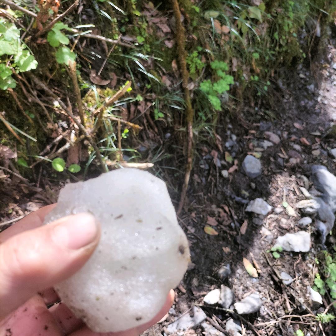 永远爰你