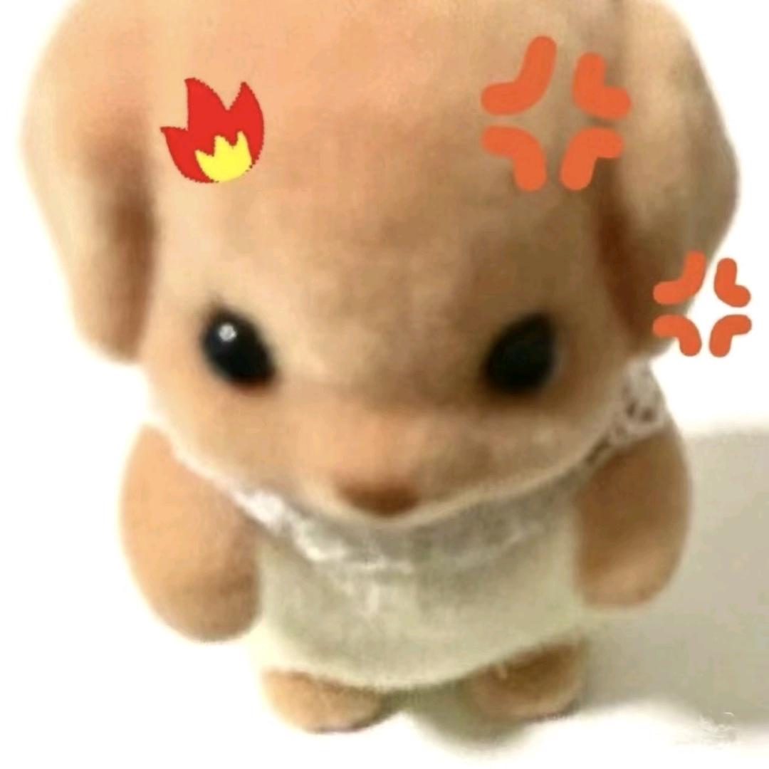SAQ