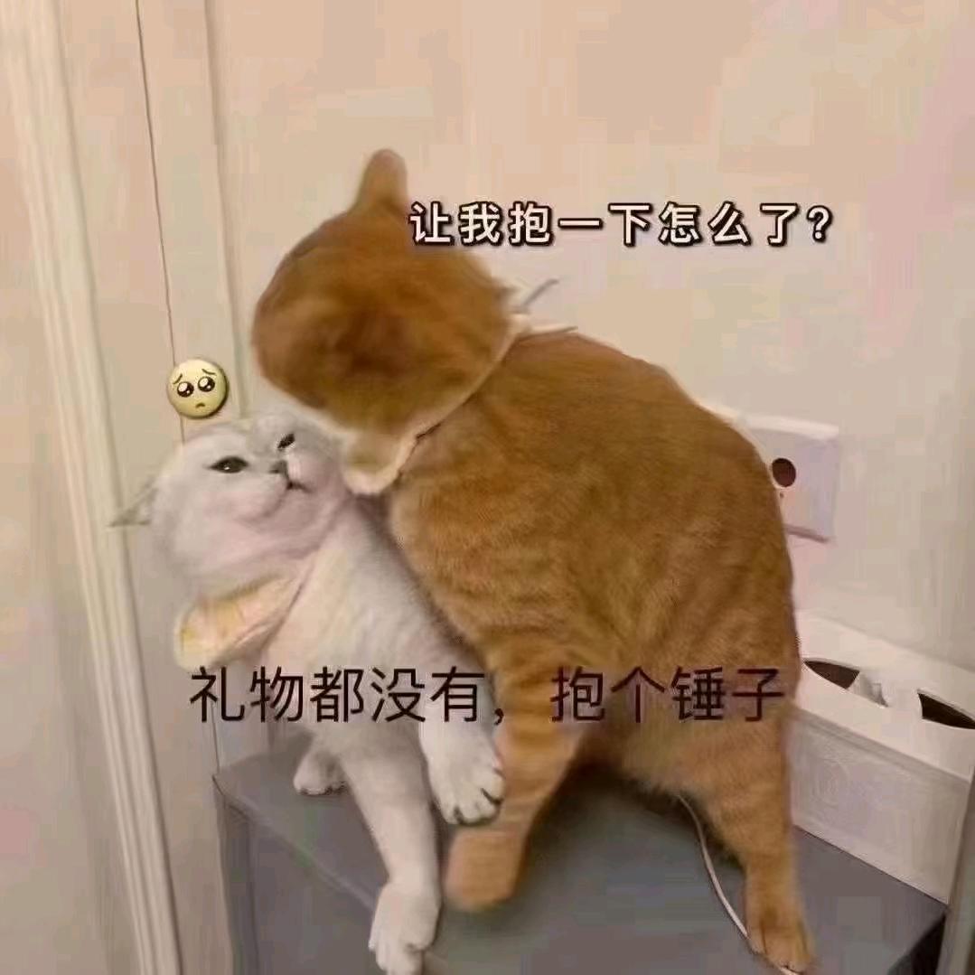 ᥫᩣ盐焗小星球🍥