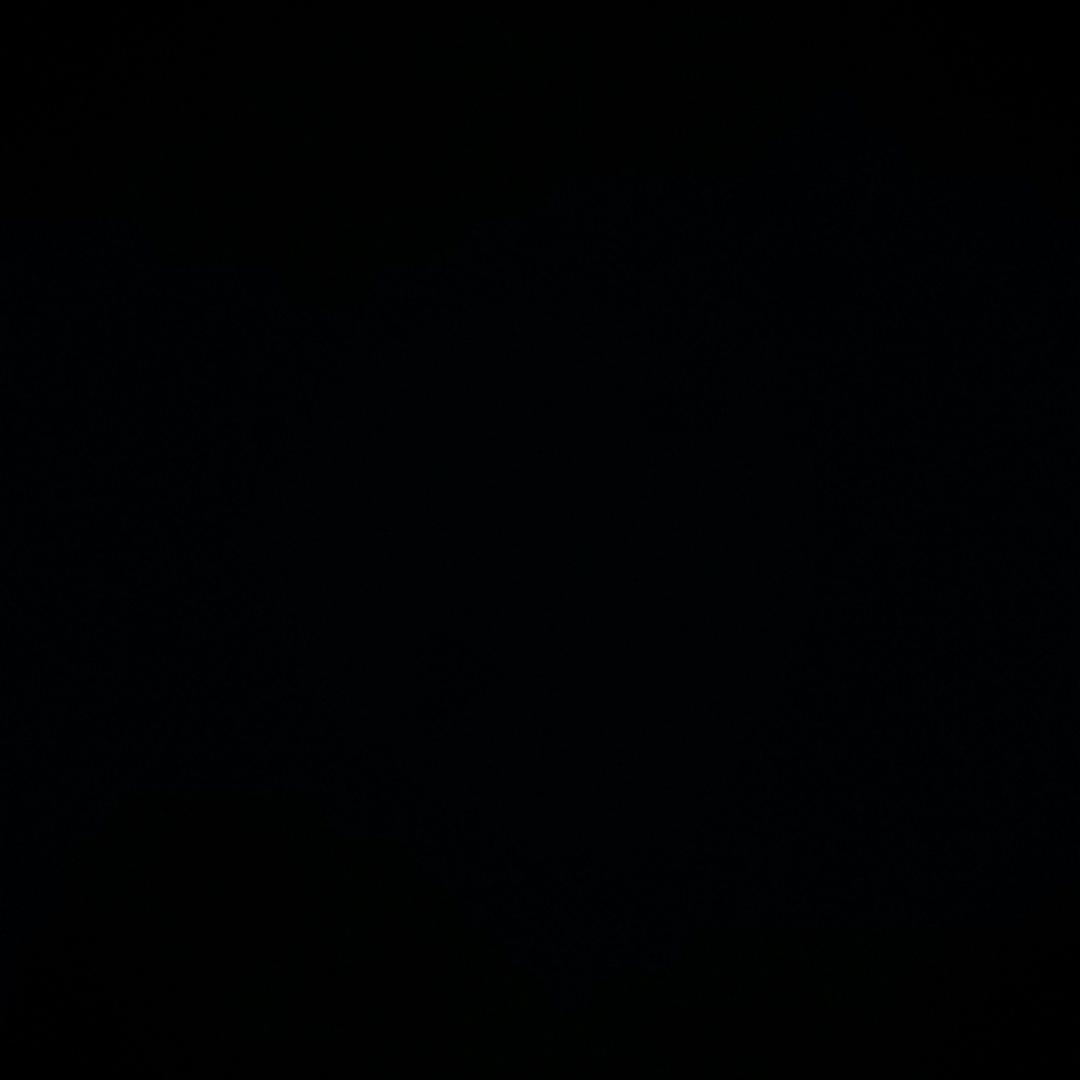 肥雾(鱼鳄)