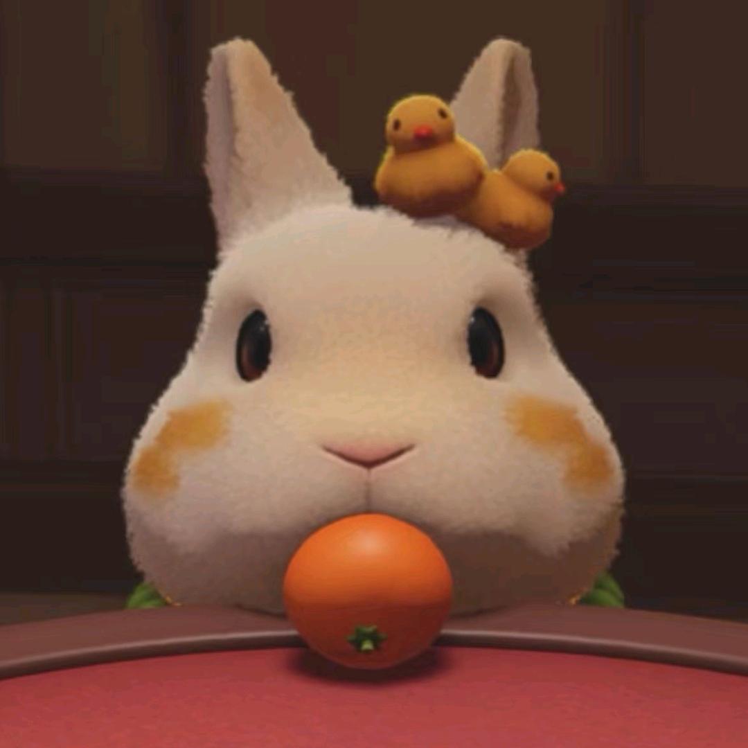 好怕怕oi