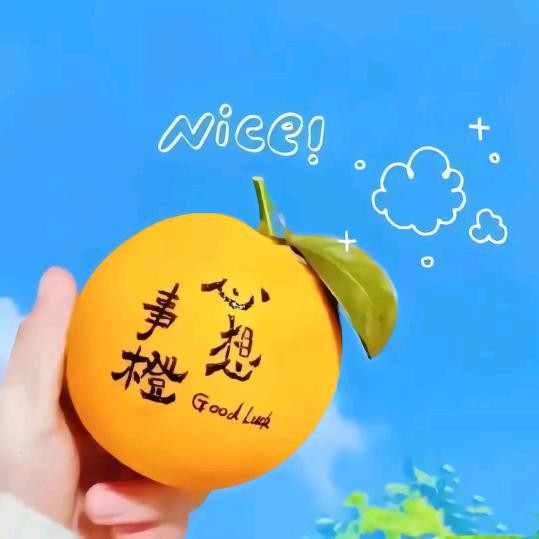 🌾衡水做纸箱的美少女🌾
