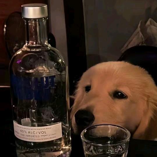 刺猬啊sir.