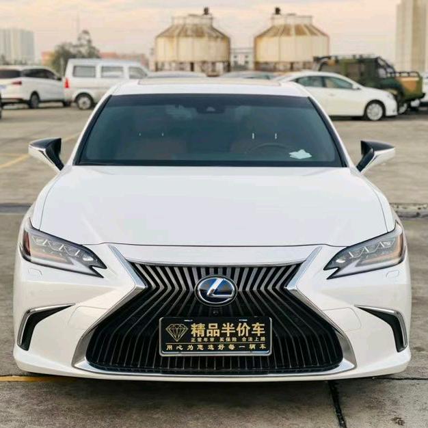 沙漠里的仙人掌