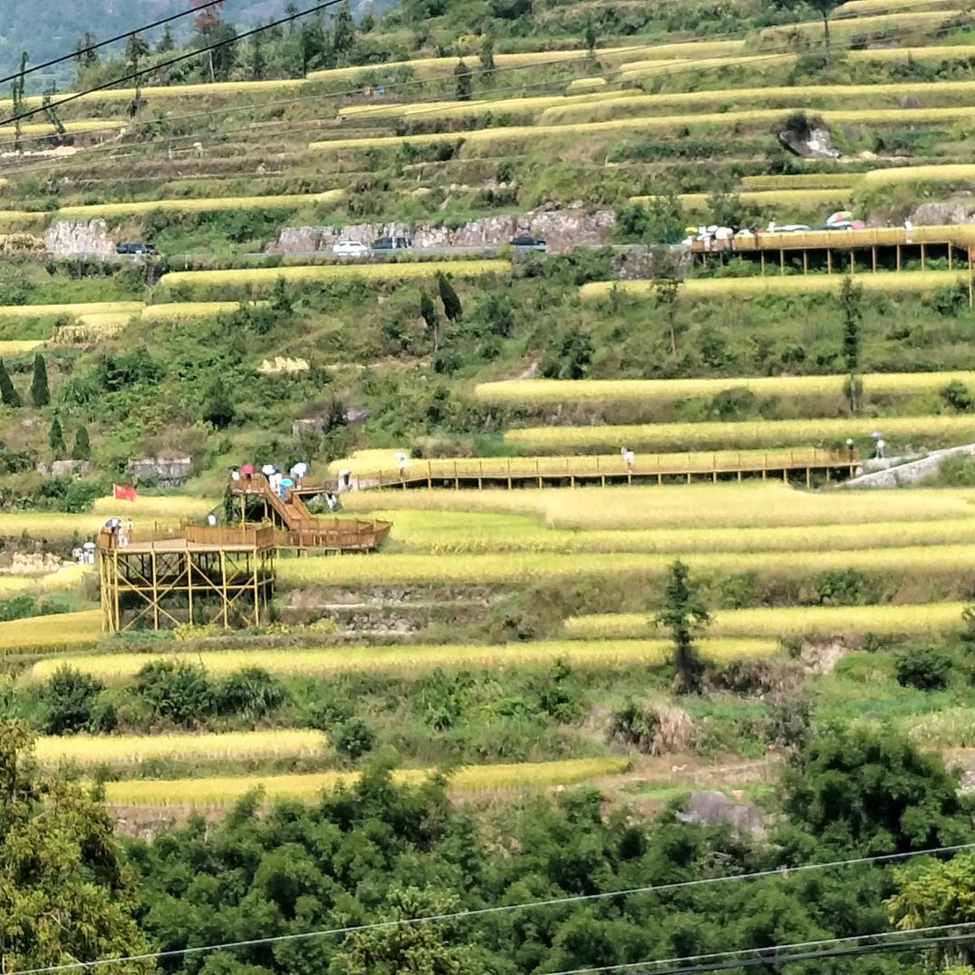 💕💕等待有缘人🌹🌹