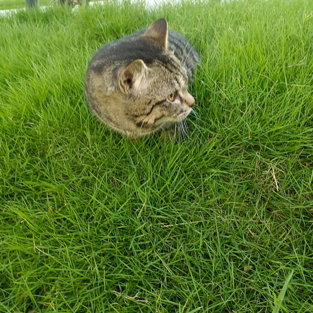 min