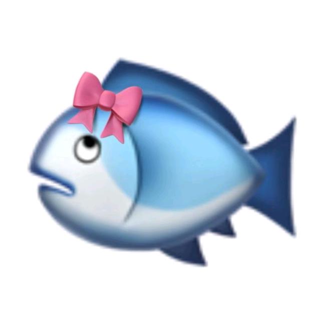 1211🐧🐟