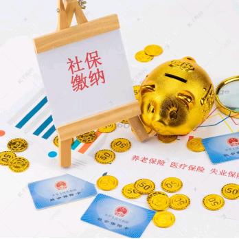 连界社保知识