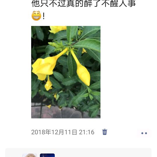 好好吃饭，好好说话！