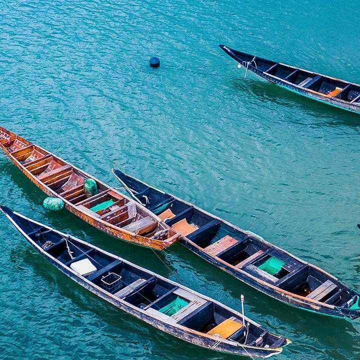 陈天恩