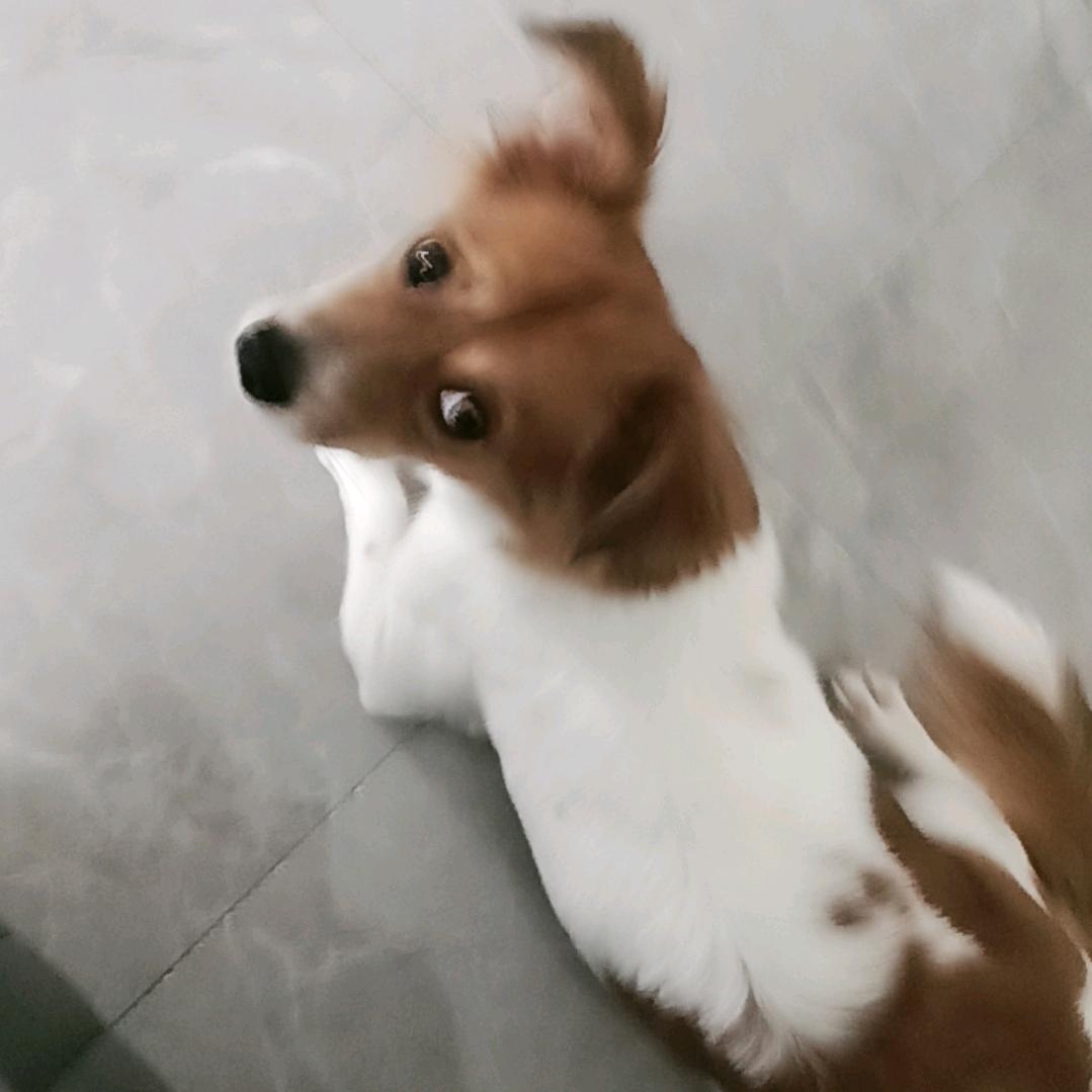 岁月静好🌷🌷