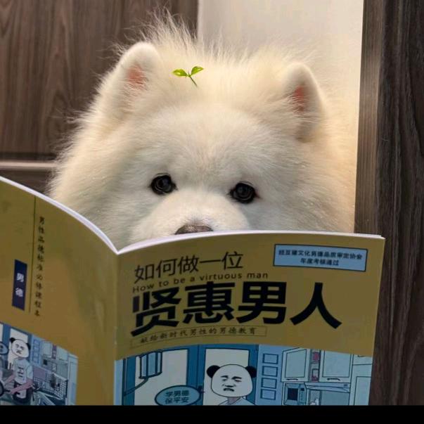 ꧁☆雨落倾城乄心已凉☆꧂