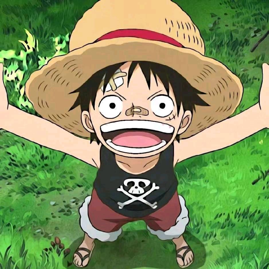 D.Luffy
