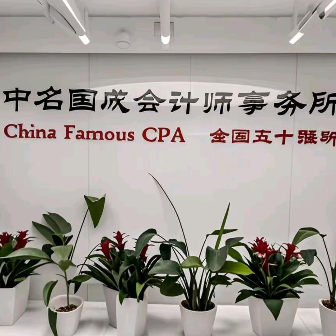 中名国成