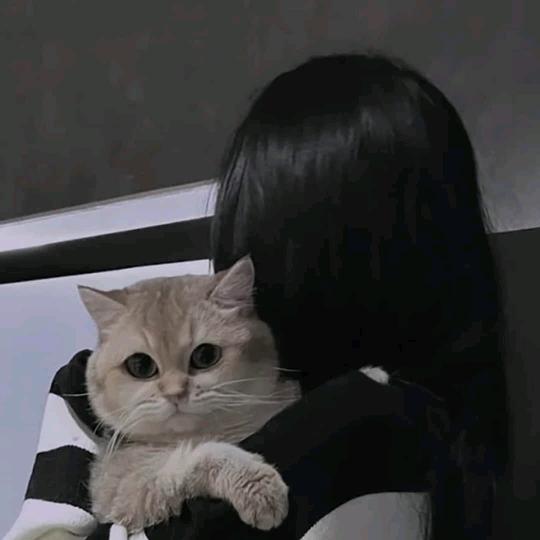 月亮抬头啊