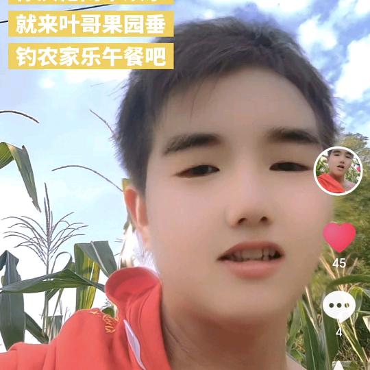 鹿寨蜜橙叶哥果园