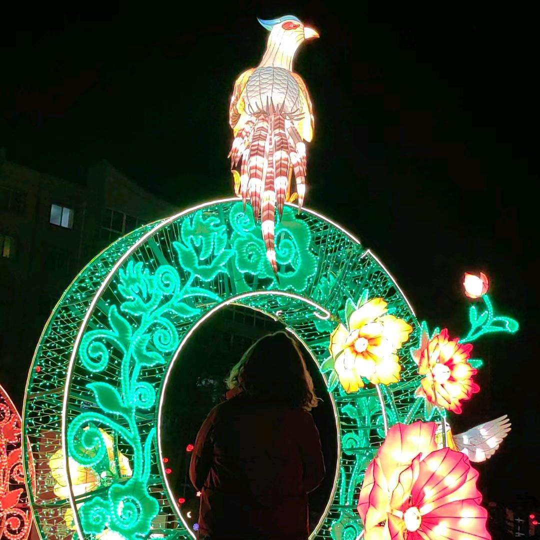 傻不拉几