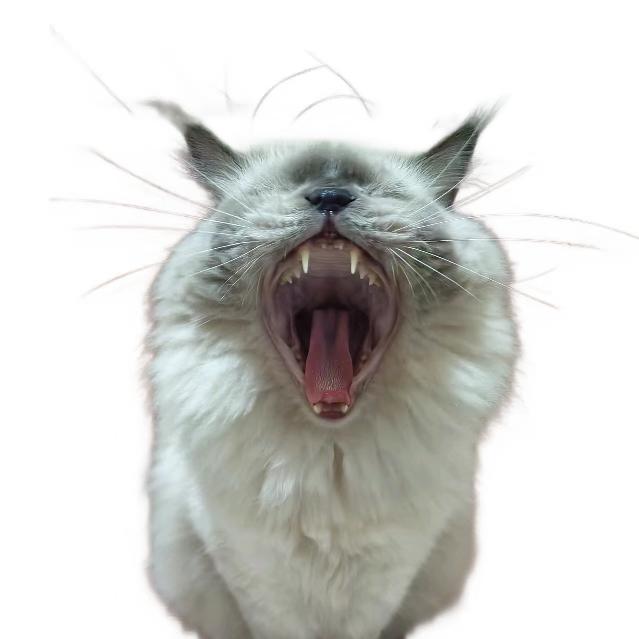 好运气