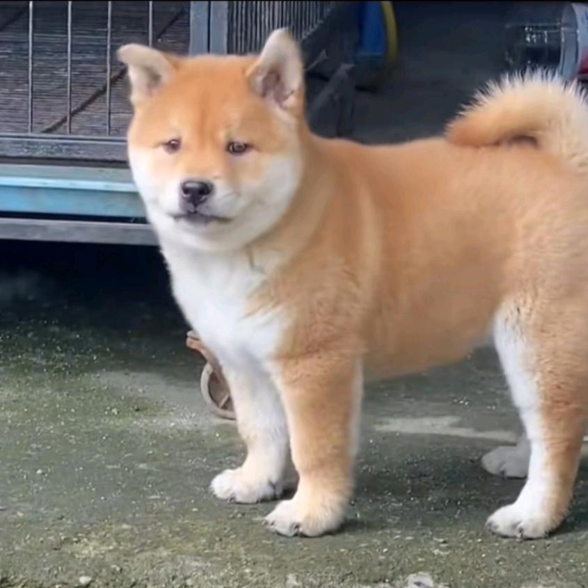 云端小伙