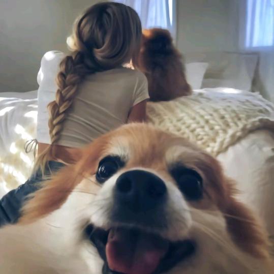 是个小土豆🥔🐟