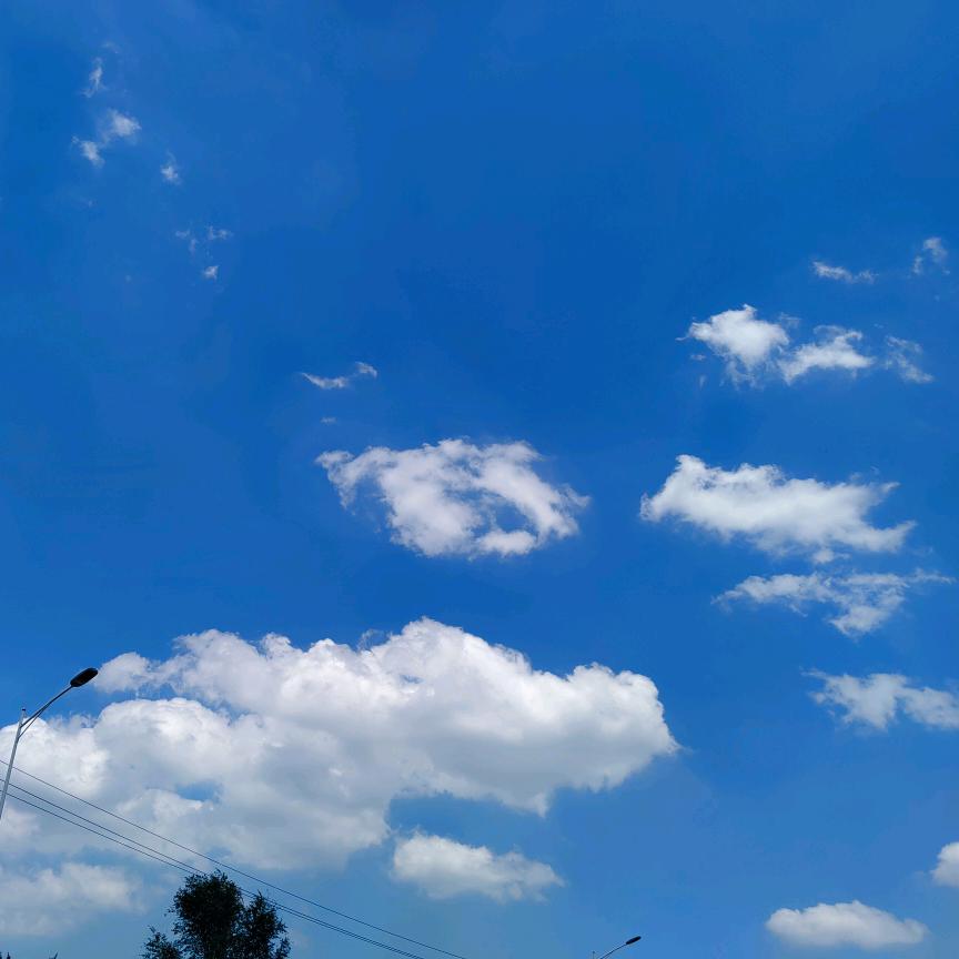 大宝