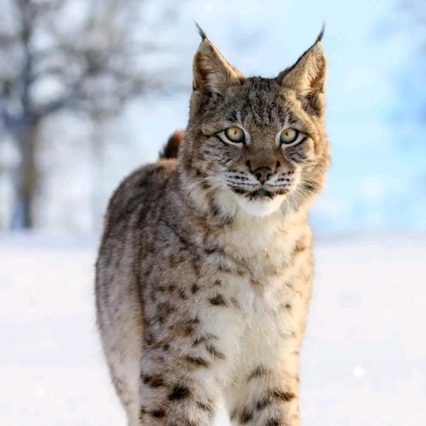 三里桥夜市摊位转让