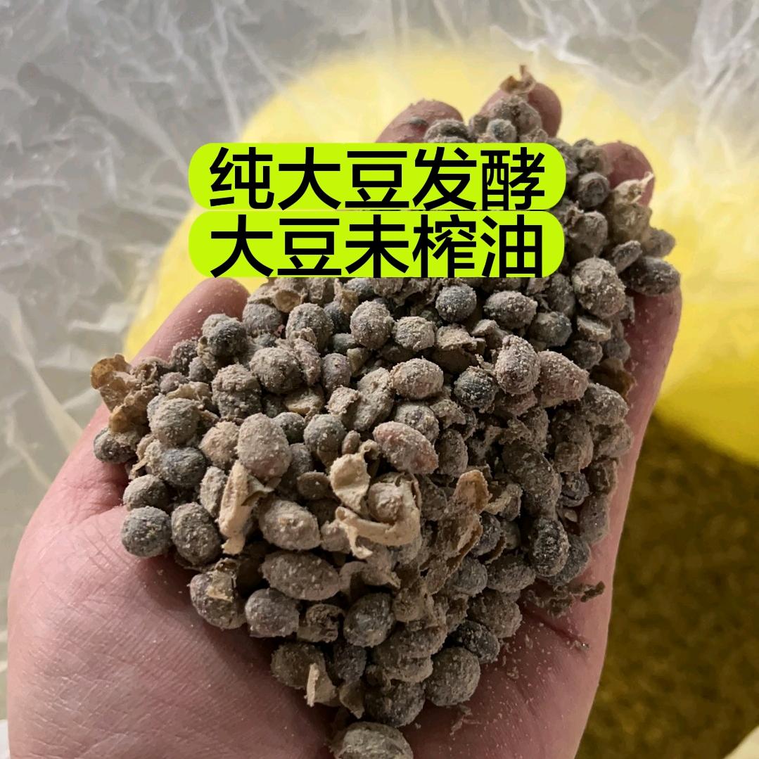 发酵大豆有机肥厂家-孟里有星光