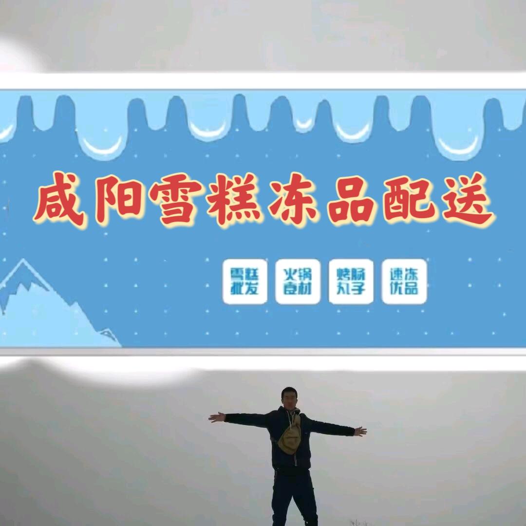 咸阳雪糕冻品配送
