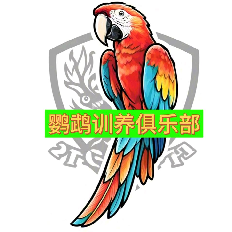 太阳和尚鹦鹉活宠物店