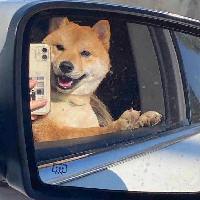 🌈优雅永不过时