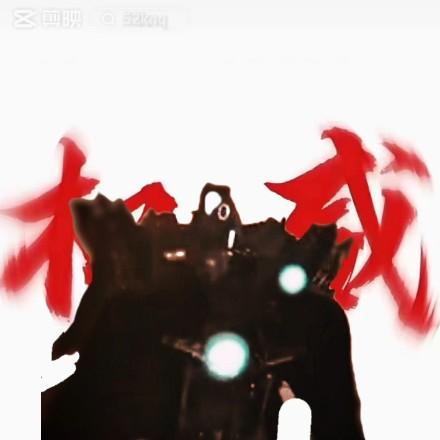 一只抖音小鸟           广告x