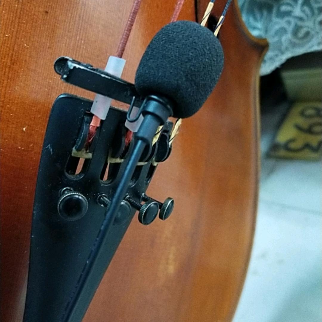 洪声提琴话筒