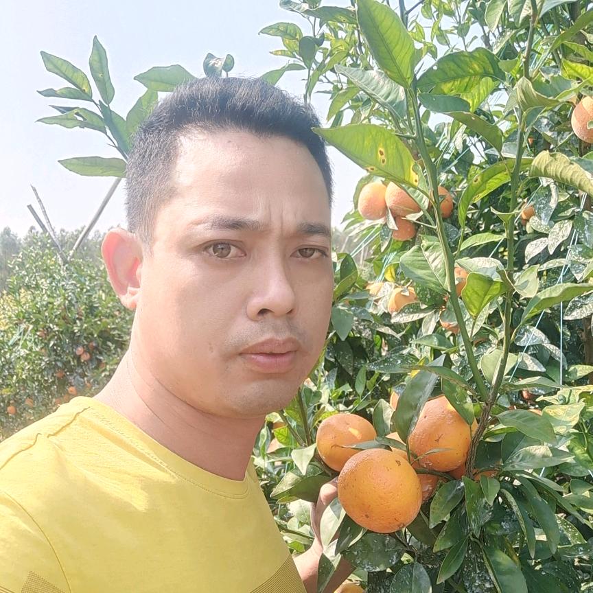 秦哥