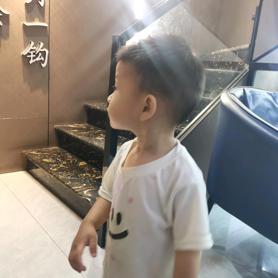 天平上的蚂蚁