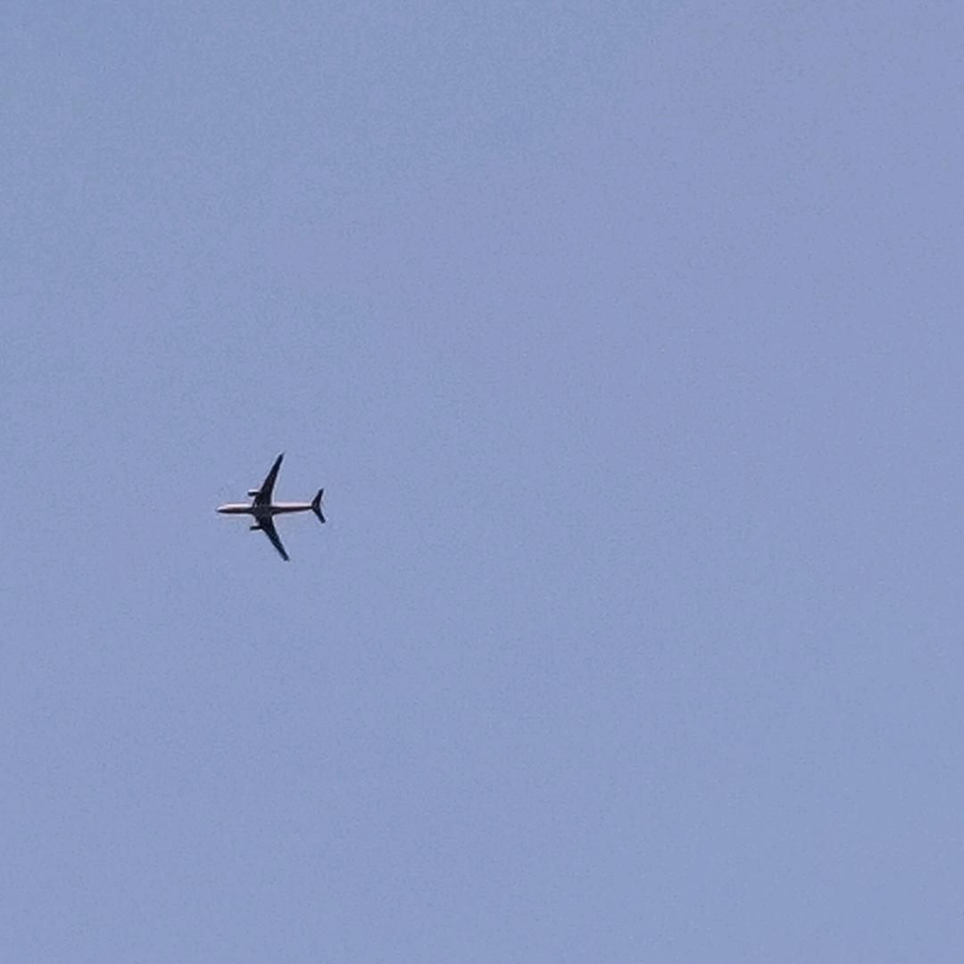 刘杰