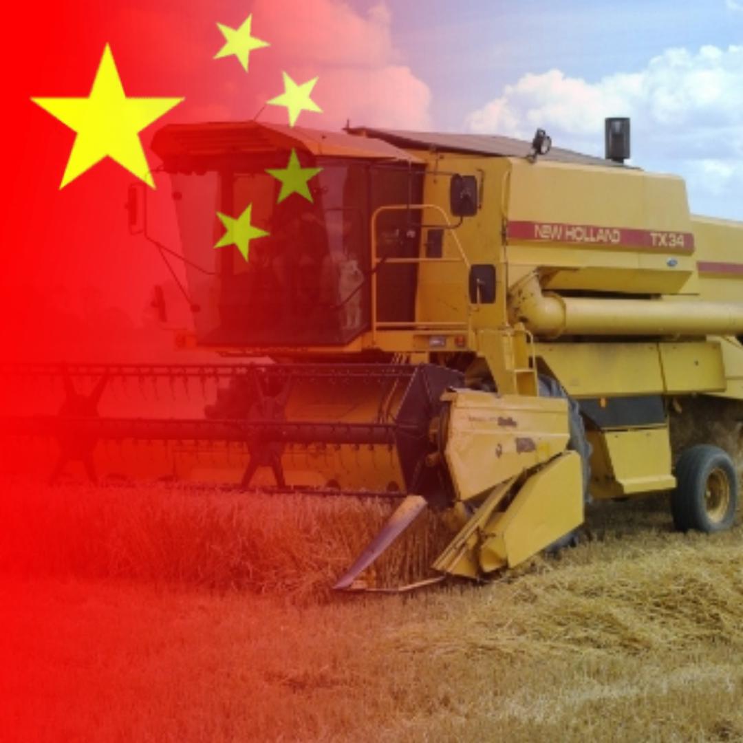 罖罖亽