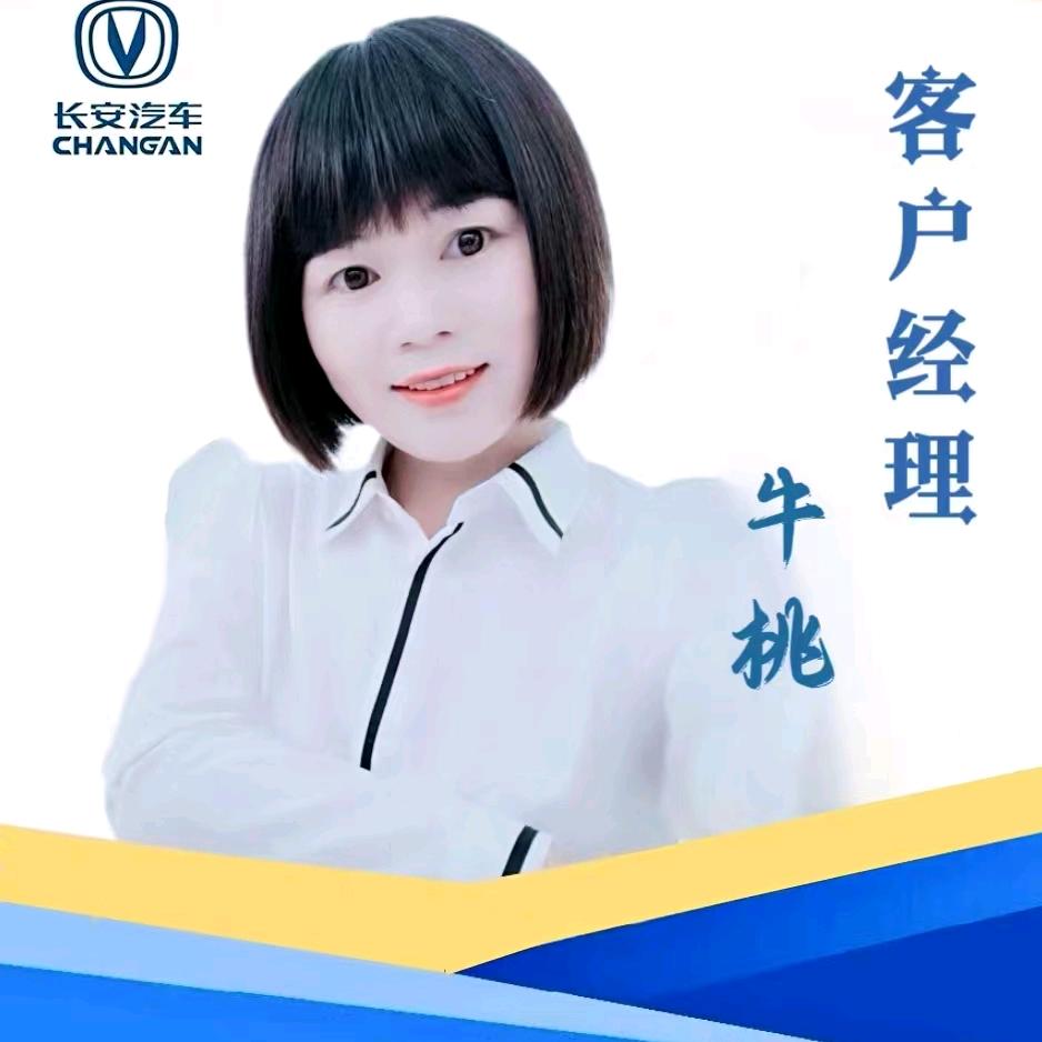 A长安汽车销售~牛桃