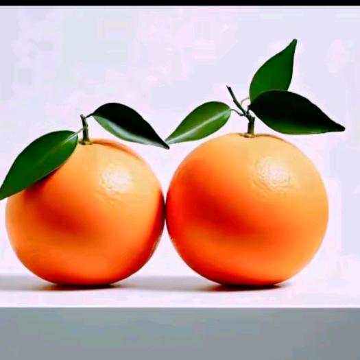 YXP