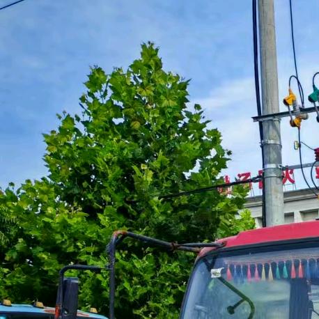 小鲁专业拉沙石经营