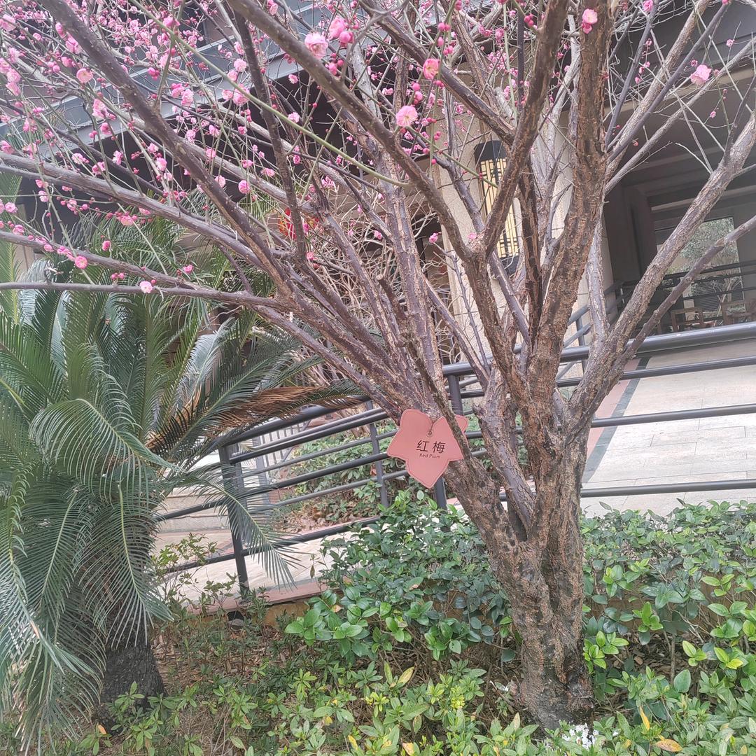 幸福