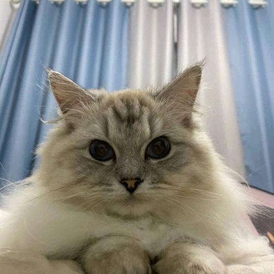 一恒