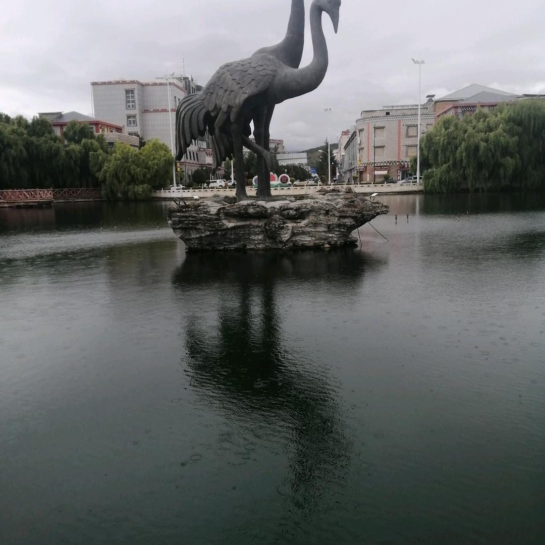 孤星