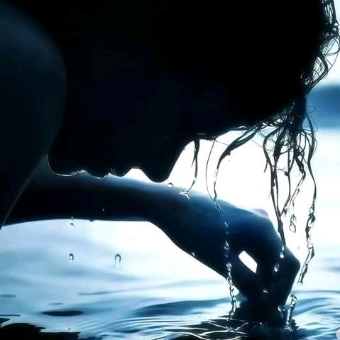 暖阳ㅤ  ㅤ ㅤㅤ