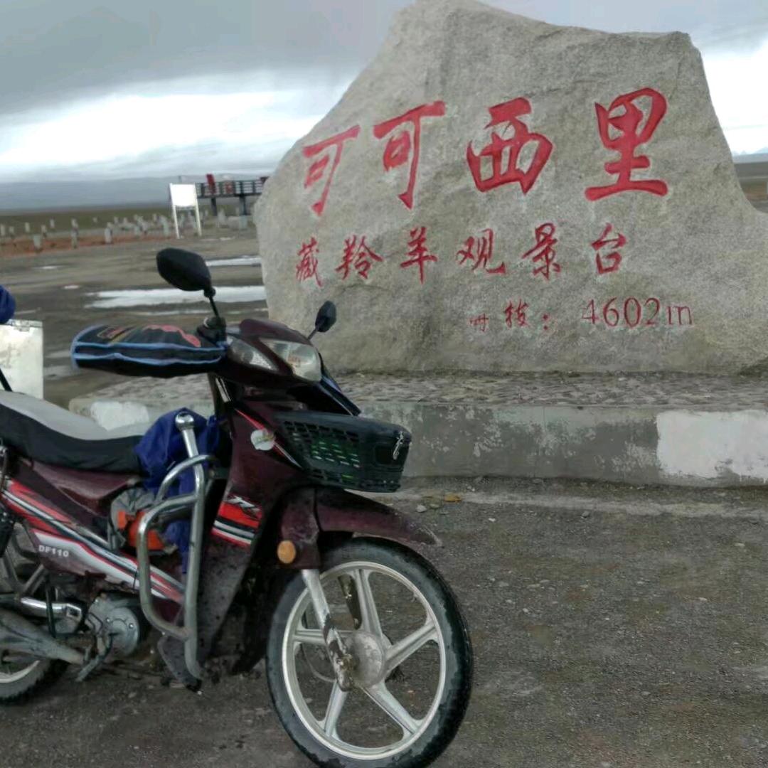 自游船媒